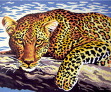 CA6 254 GHEPARDO