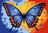 G14 900 FARFALLA