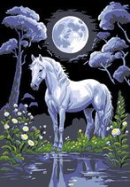 G14 895 CAVALLO BIANCO DI NOTTE