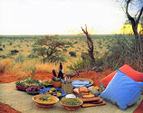 Picknick in afrikanischer Savanne