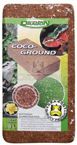 Coco - Ground