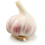 Knoblauch