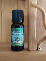 Synergie Arbres Gardiens