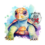 Zeugnismappe "Schildkröten" #05