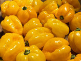 Habanero yellow 200g