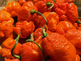 Carolina Reaper red 200g