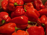 Habanero red 200g