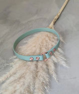 Markenhalsband Biothane