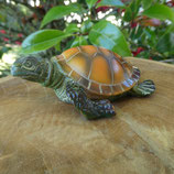 Tortue marine marron N° 3