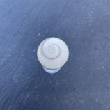 Bague Œil de St Lucie Ronde