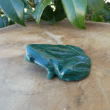 Grenouille Malachite