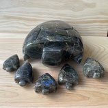 Tortues Labradorite Famille - 6 Tortues