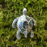 Pendentif Tortue Abalone