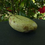 Galet Opale Verte N° 1