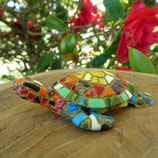 Tortue Multicolore