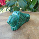 Lion Malachite