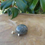 Tortue Labradorite N° 1