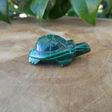 Tortue Malachite