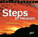 Tobias Meyer - Steps In Heaven (Instrumental)