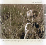 Martyn Joseph - Whoever It Was That Brought Me Here ..