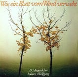 EC-Jugendchor - Wie ein Blatt vom Wind verweht