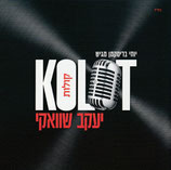 Yaakov Shwekey - Kolot