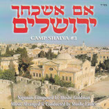 Camp Shalva Choir - Camp Shalva 3 (Moshe Goldman)