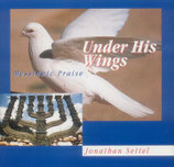 Jonathan Settel - Under His Wings