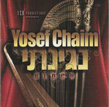 Yosef Chaim Bloch - Neginosi