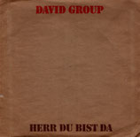 David Group - Herr du bist da