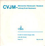 Männerchor des CVJM Nümbrecht/Waldbröl 528
