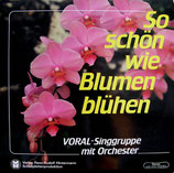 Voral-Gruppe - So schön wie Blumen blühen