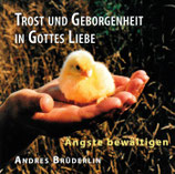 Andres Brüdelin - Trost und Geborgenheit in Gottes Liebe (Ängste bewältigen)