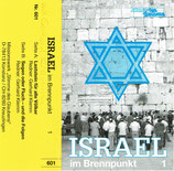 Stimme des Glaubens : ISRAEL im Brennpunkt (Gerhard Klemm)