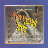 Camp Shalva Choir - Camp Shalva 5 (Moshe Goldman)