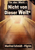 Manfred Schmidt - In der Welt - nicht von dieser Welt