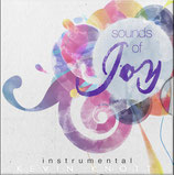 Kevin Knott - Sounds of Joy (Instrumental)