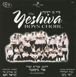 The Yeshiva Boys Choir (nw)