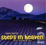 Tobias Meyer - Steps in Heaven (Instrumental)