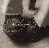 Bebo Norman - Ten Thousand Days