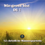 CD Wie gross bist Du (12 christl.Männerquartette)