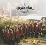 Gospelchor Liebefeld - God Is Joy