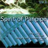 Gino Marinello - Spirit of Panpipe 3