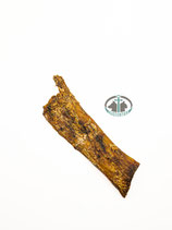 Rindernackensehne groß