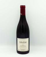 Divem 2011