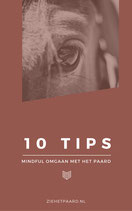 10 tips mindful omgaan met het paard