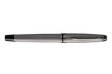 Waterman Expert Metallic Silver Special Edition