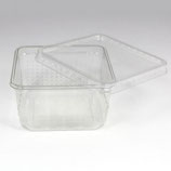 Heimchendose transparent gelocht mit Deckel