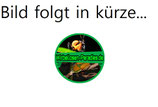 Rhombodera stalli/Schildmantis L2/L3