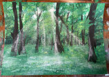 "Licht im Wald"